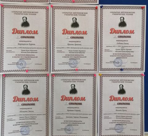 Шёгреновские ученические чтения